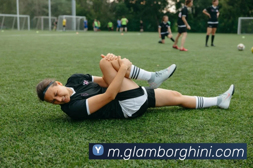 企业概况